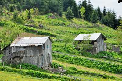 Torkul Göleti ve Yaylası